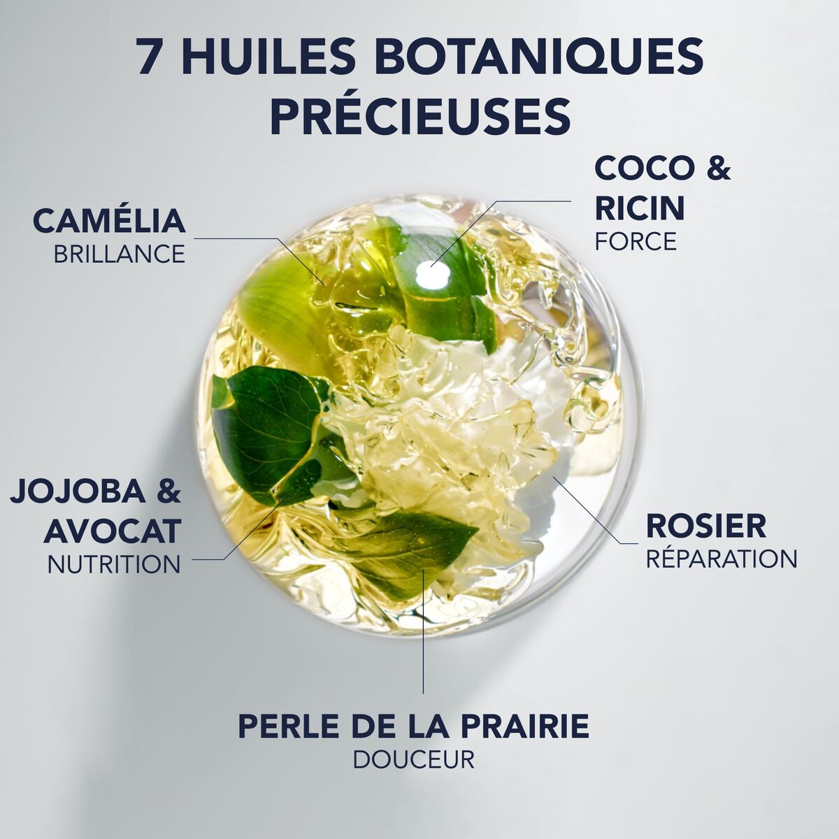 V1H9FCD173E8D65F07F7DE892F2CE2E7333RP3