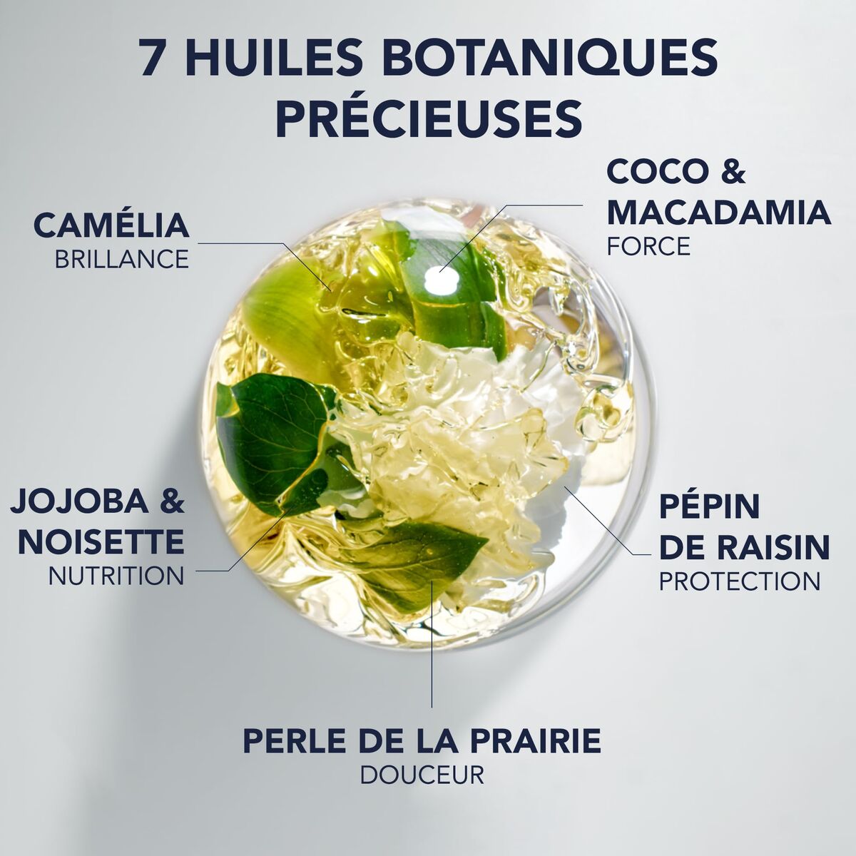 V2H6DE867F8B56BF05B07196AE630308413R7355538P3