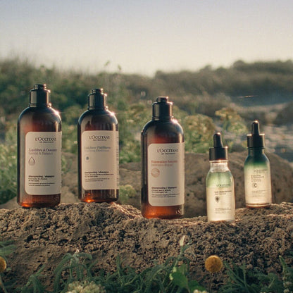 V3H214927160800D0B2D2CDB5E0923ECB76R6240843P6