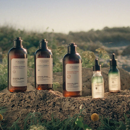 V3H34064235A837E1209A7F4976DF671B88R6240515P7