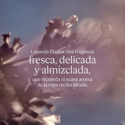 V2H49CFC5C5108CB9CEBB5692DCB852338FR7111386P5