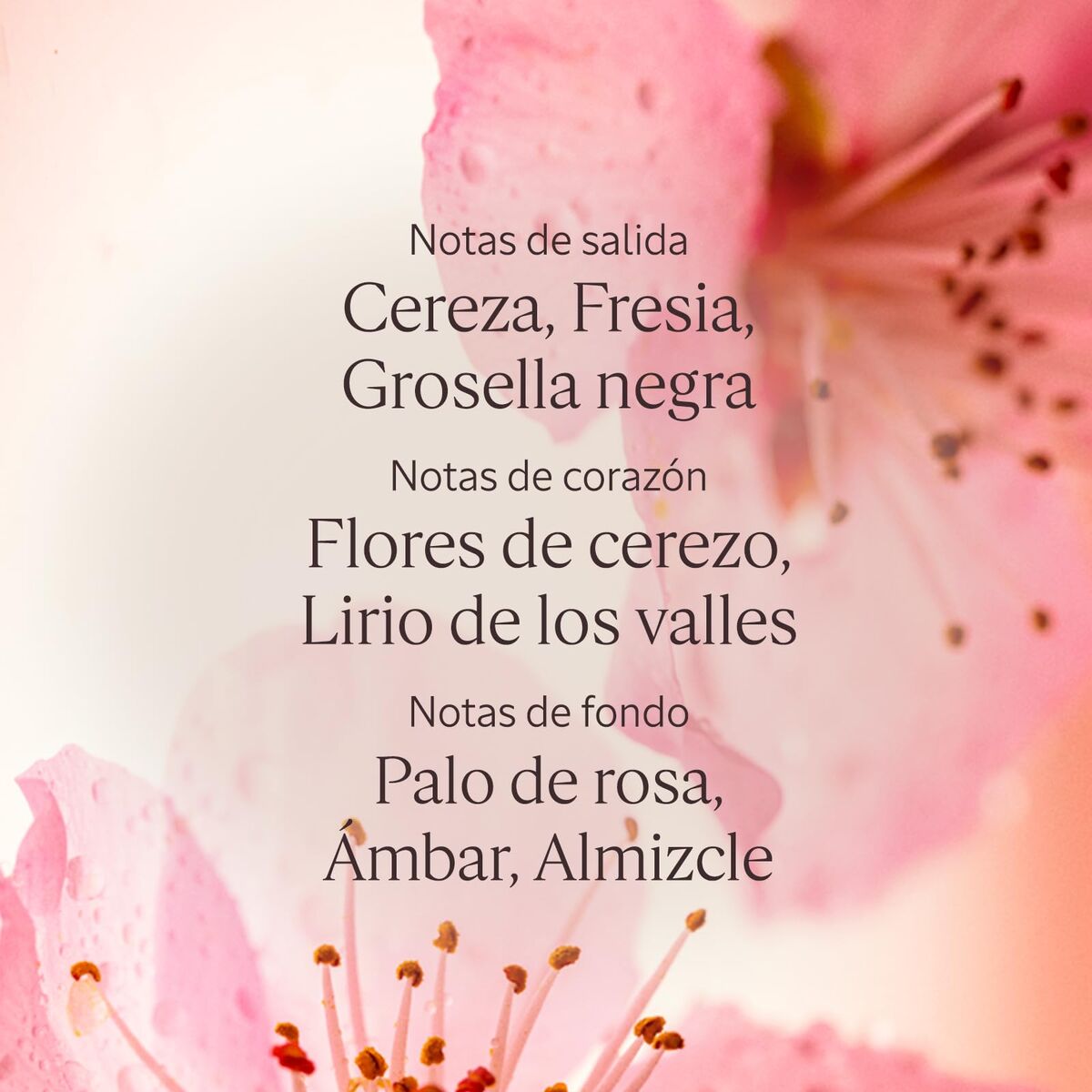 V2H206A9050C818A88AFFF833B27CE6839CR7407083P4