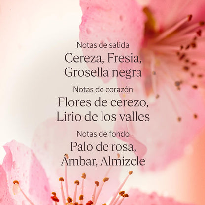 V2H9CB5457937ECC51AC57B189980A4D378R7592839P4