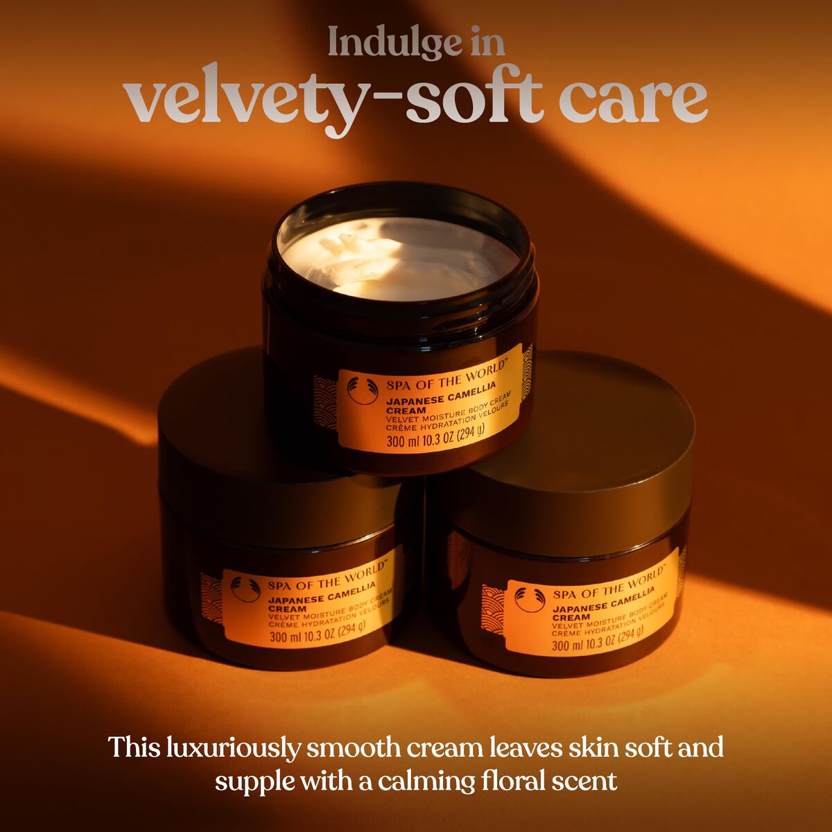 V1H8147AF8480182DABE3092E7A53C208D3RP2