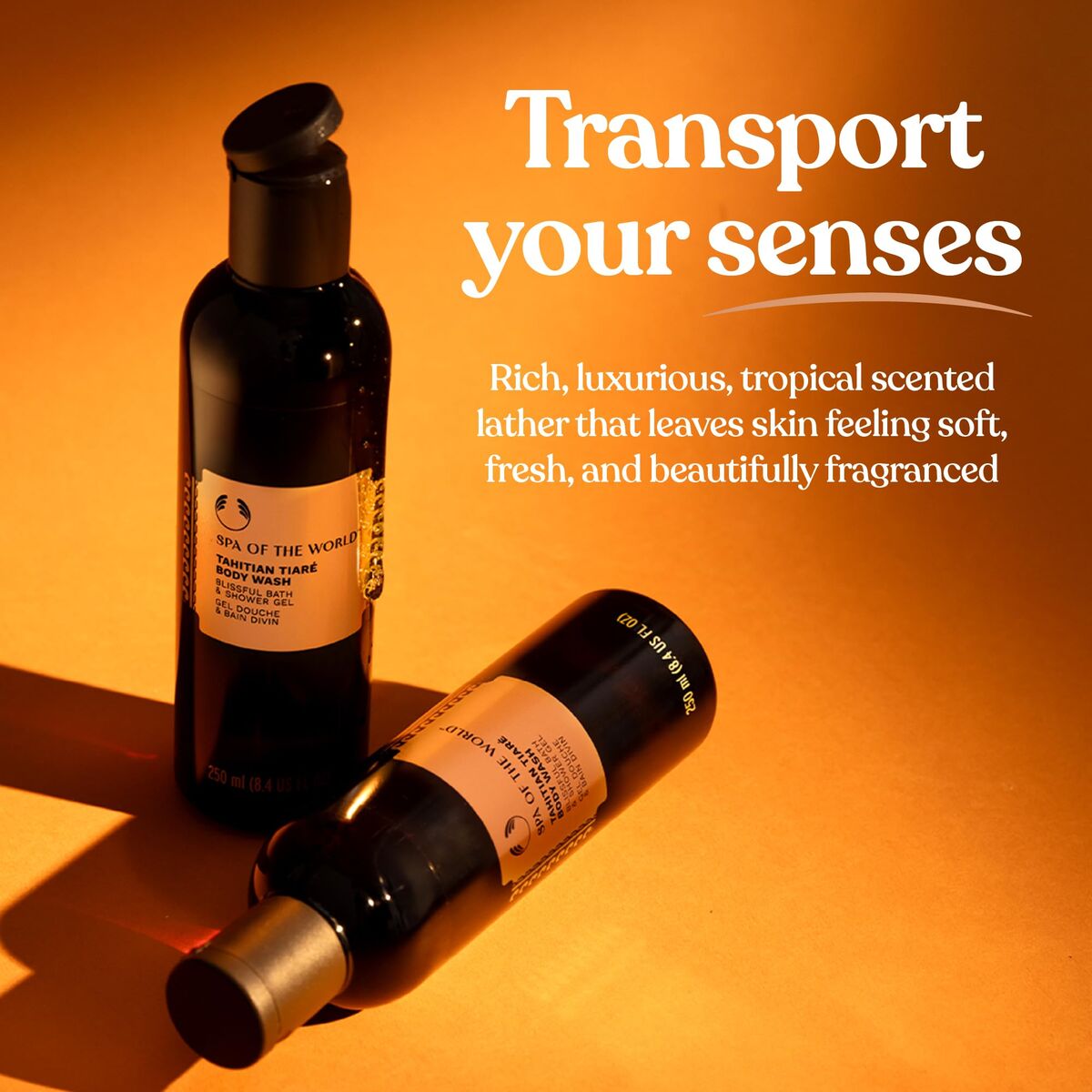 V1H072F239FEC3355993878F6EC8BEA135ARP2