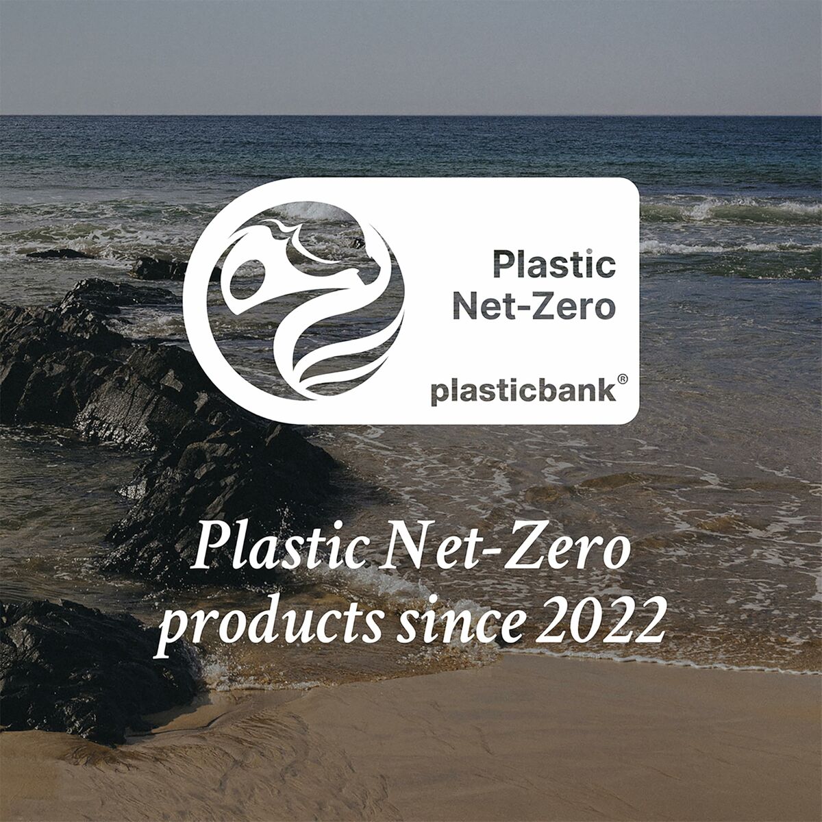 V1H1EBECC2C86D863C11C885C139BC524C4RP2